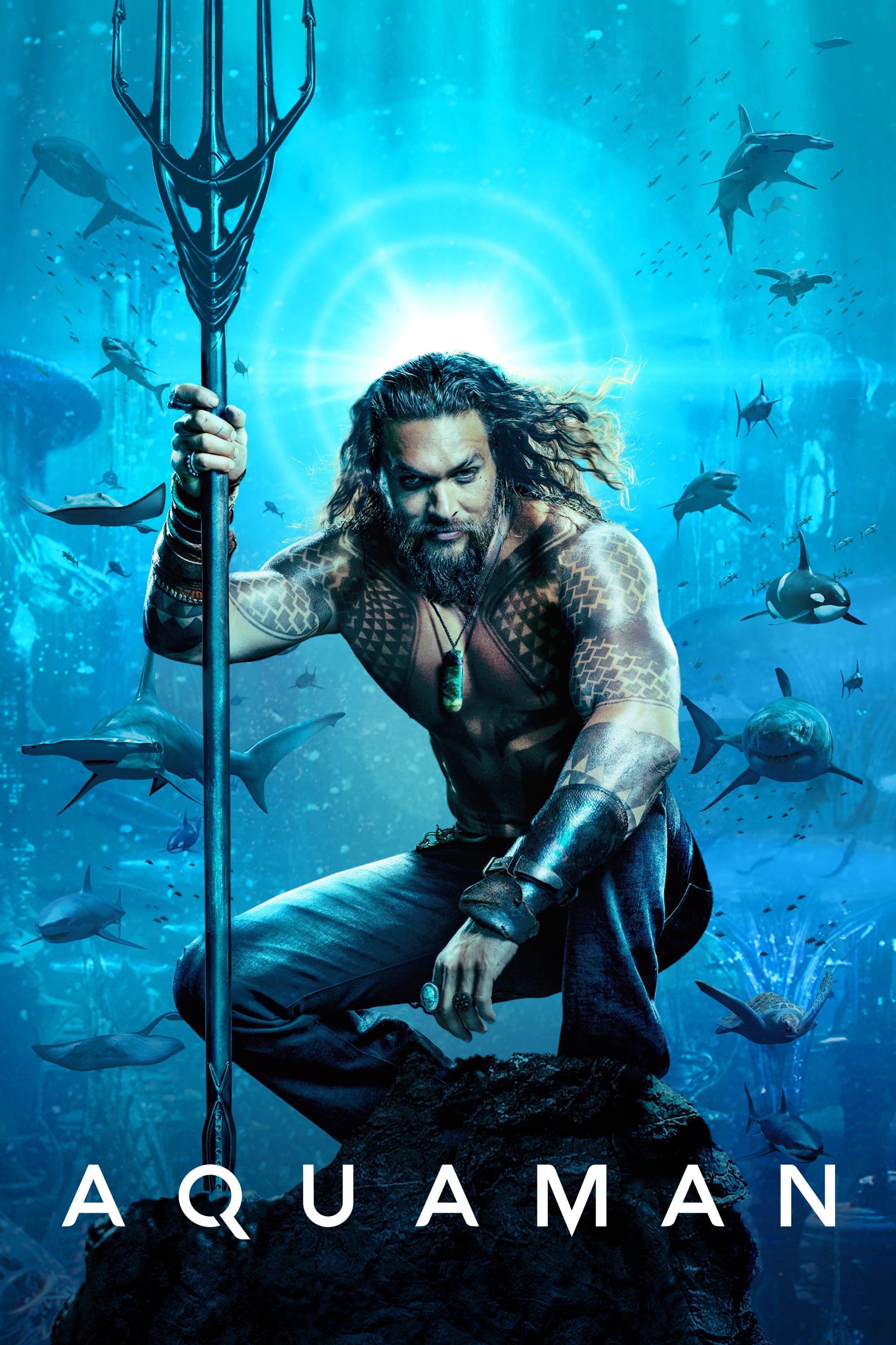 Aquaman (2018) [221695] (A1597969804) [[Movies]] --Plex--